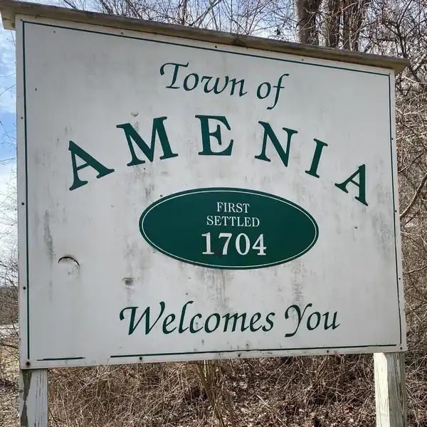 Amenia discusses "opting-in" on cannabis dispensaries