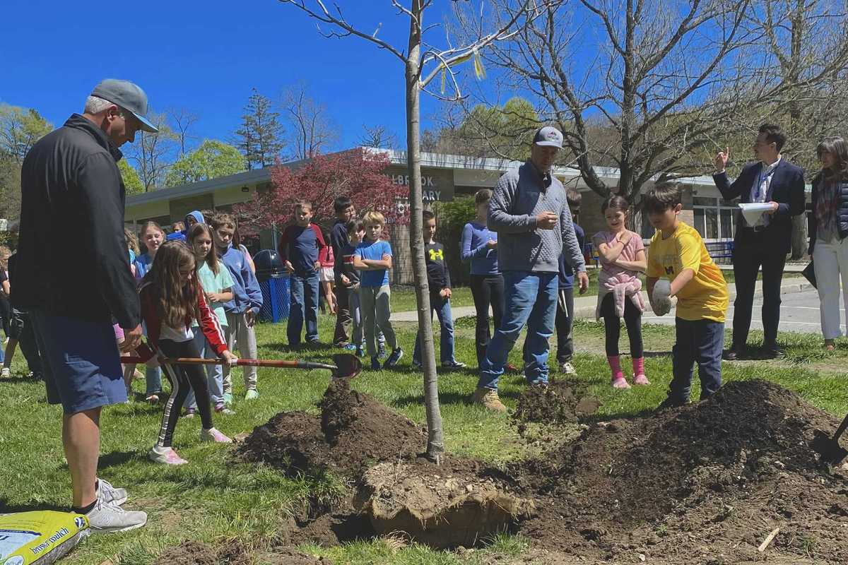 Alden Place students get dirty for Arbor Day