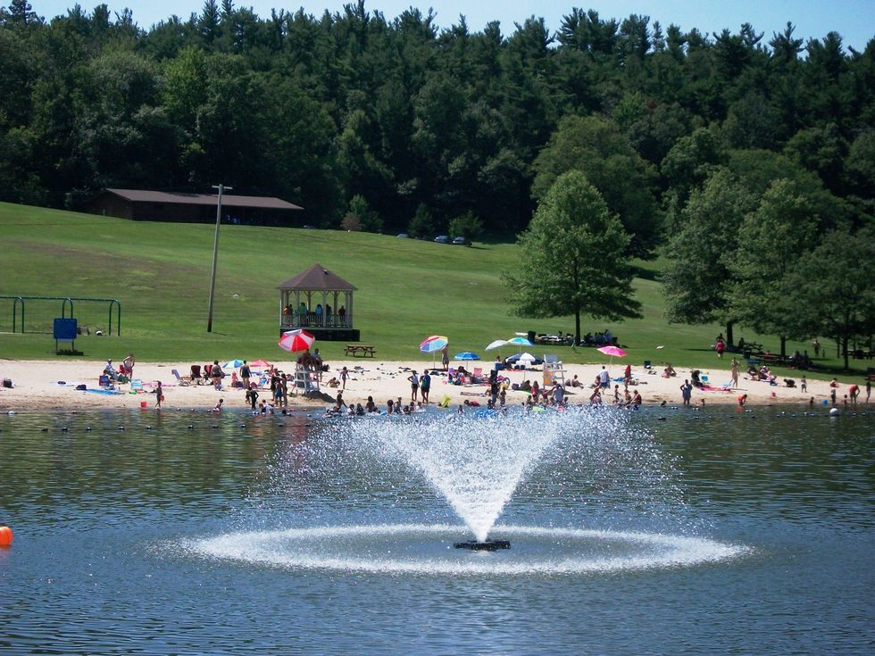 Blue-green algae blooms trouble in waters at Wilcox Park, causing lake to close for summer