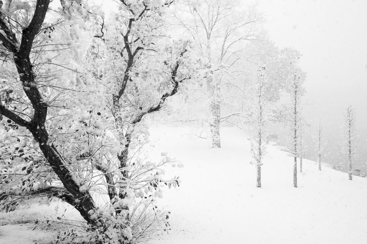 New funds for Innisfree