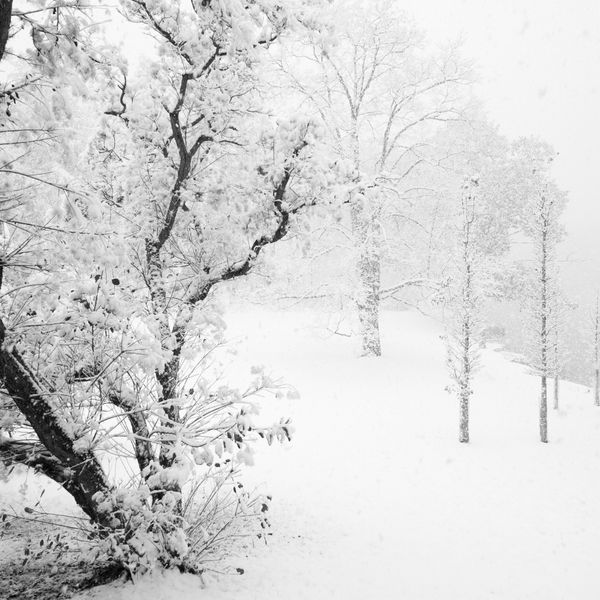 New funds for Innisfree