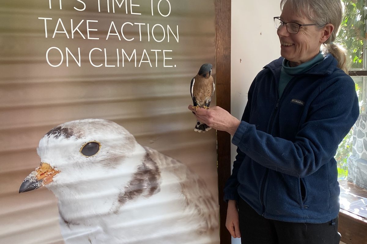 Millbrook School to launch environmental arts project on Feb. 21