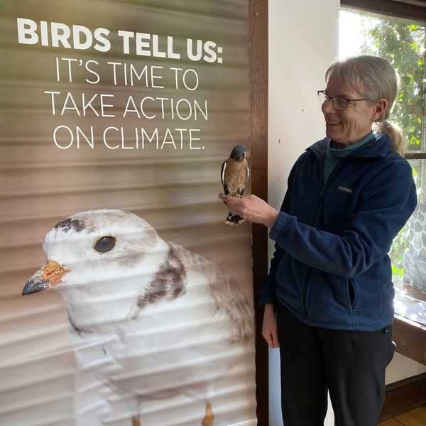 Millbrook School to launch environmental arts project on Feb. 21