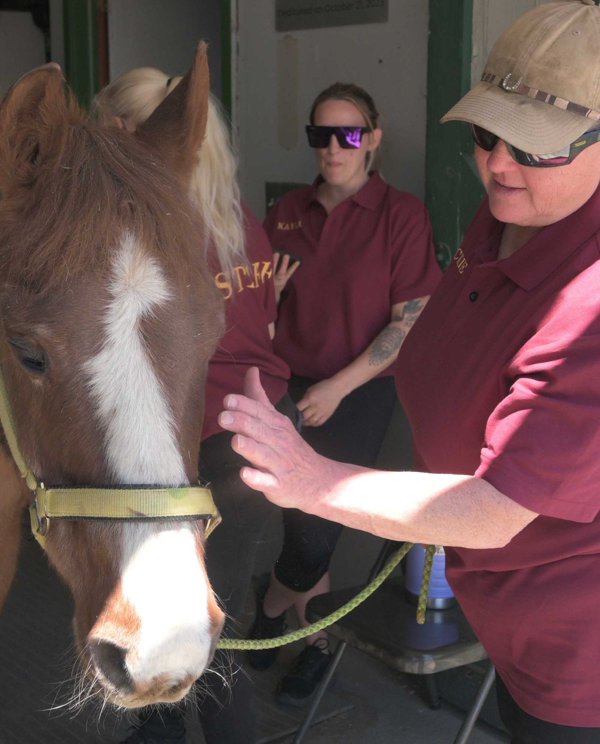 Local equine therapy facility celebrates horse’s 35th birthday