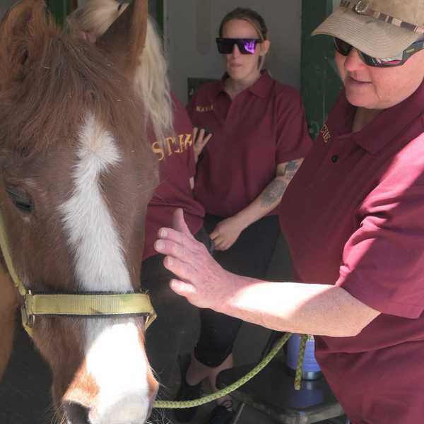 Local equine therapy facility celebrates horse’s 35th birthday