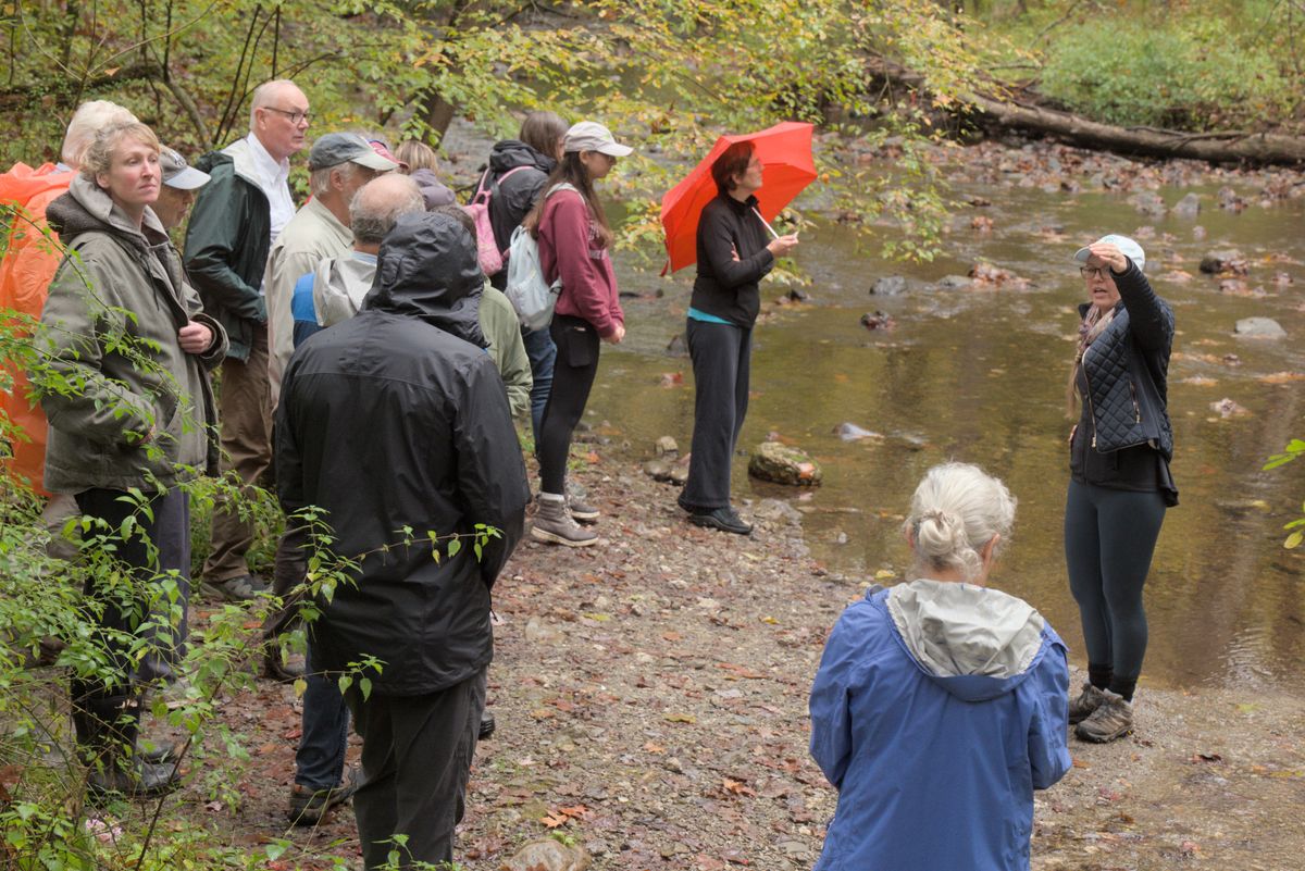 Let’s talk about dirt: soil ecology hikes at the Cary Institute