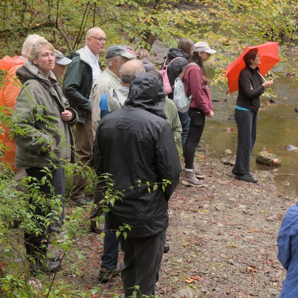 Let’s talk about dirt: soil ecology hikes at the Cary Institute