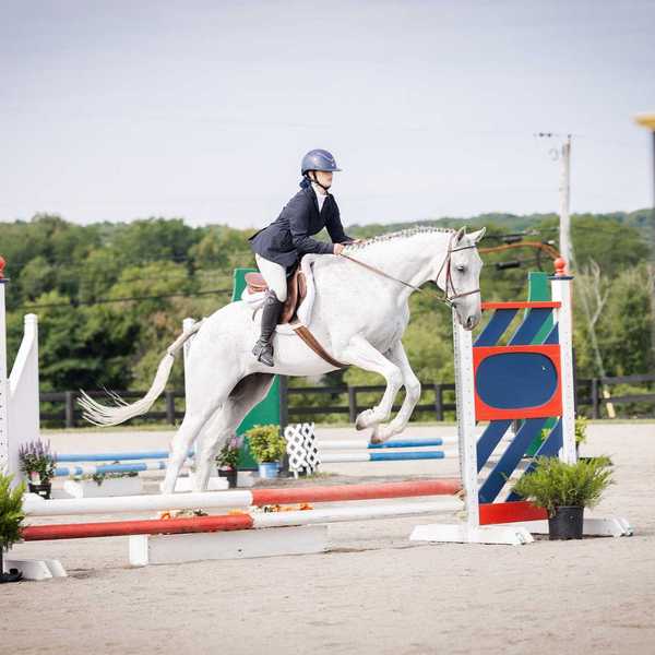 Lakeville Open Horse Show raises funds for next generation of riders