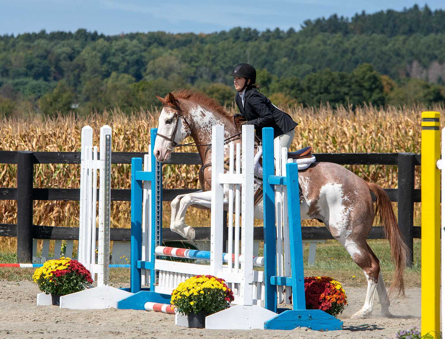 Lakeville Open Horse Show returns for 69th year