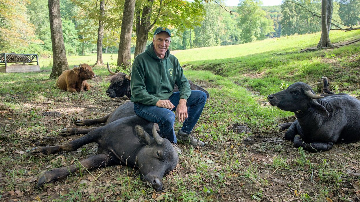 Amenia’s Elk Ravine Farm funds conservation through unique tours