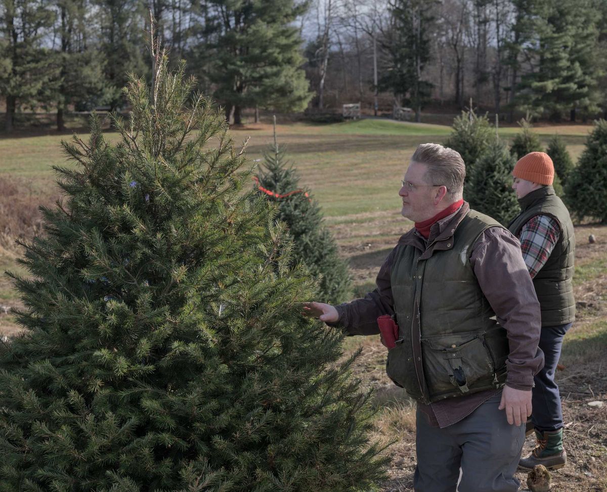 Traditions continue despite Christmas tree farm closures