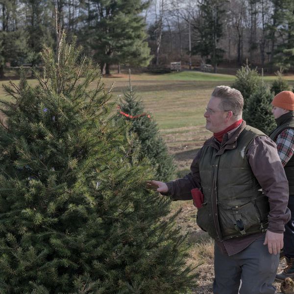 Traditions continue despite Christmas tree farm closures
