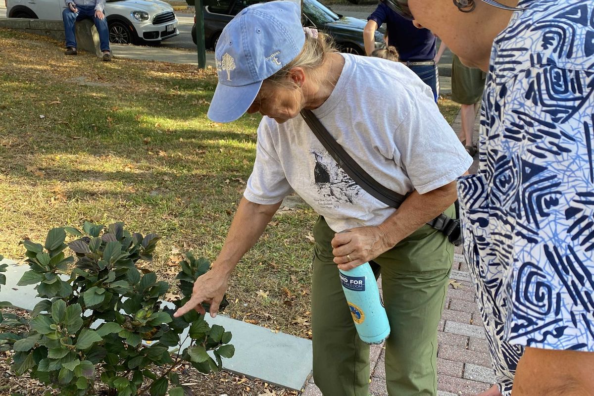 Millbrook Library dedicates pollinator pathway garden
