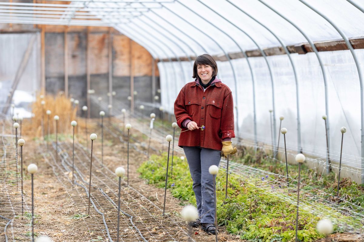 Stanfordville’s Foxtrot Farm begins seasonal seeding, announces winter craft event