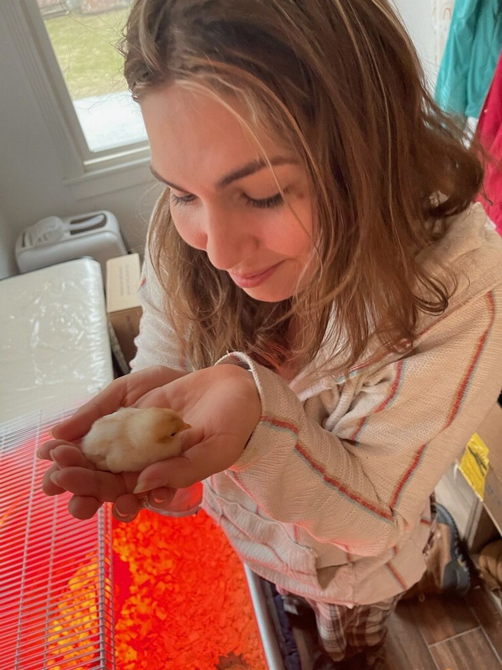 Chickens or eggs? A homegrown source?