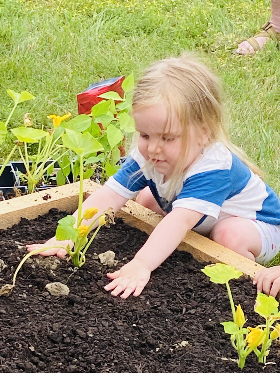 Three Sisters Garden takes root at Roe Jan Library