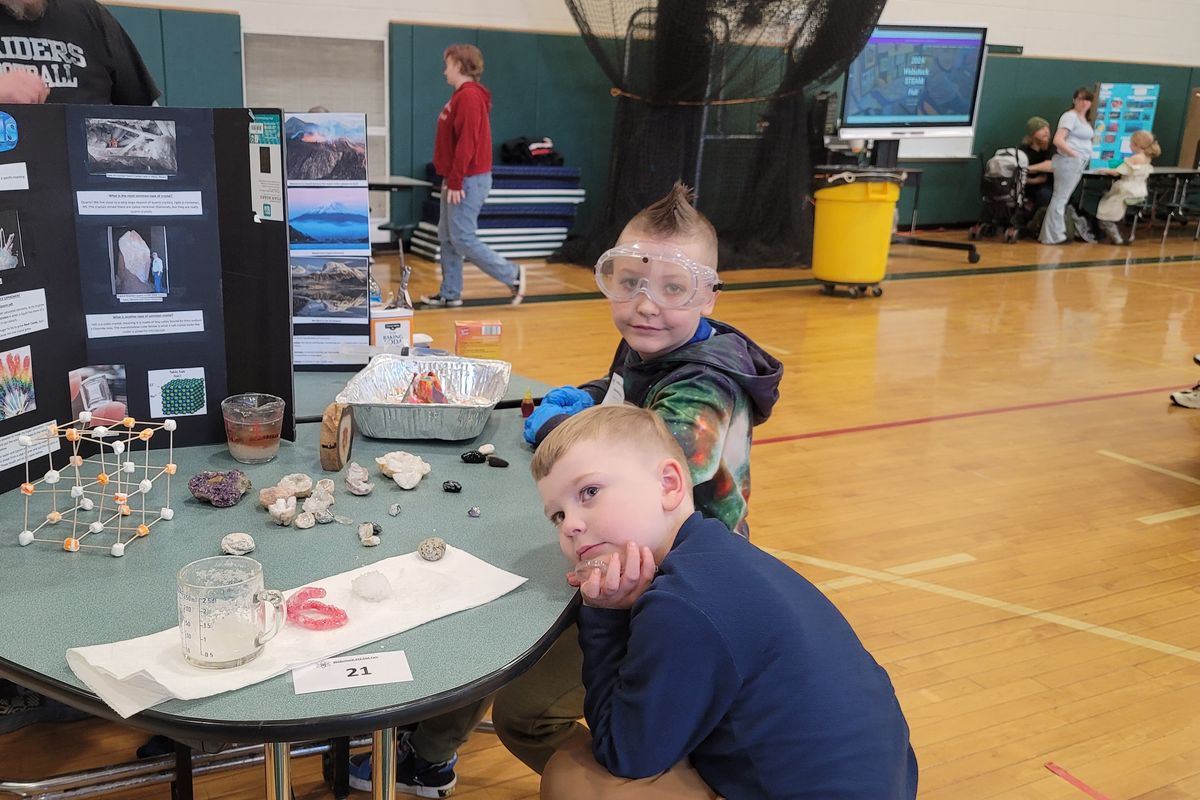 Gathering STEAM: Webutuck’s 10th annual science fair a success