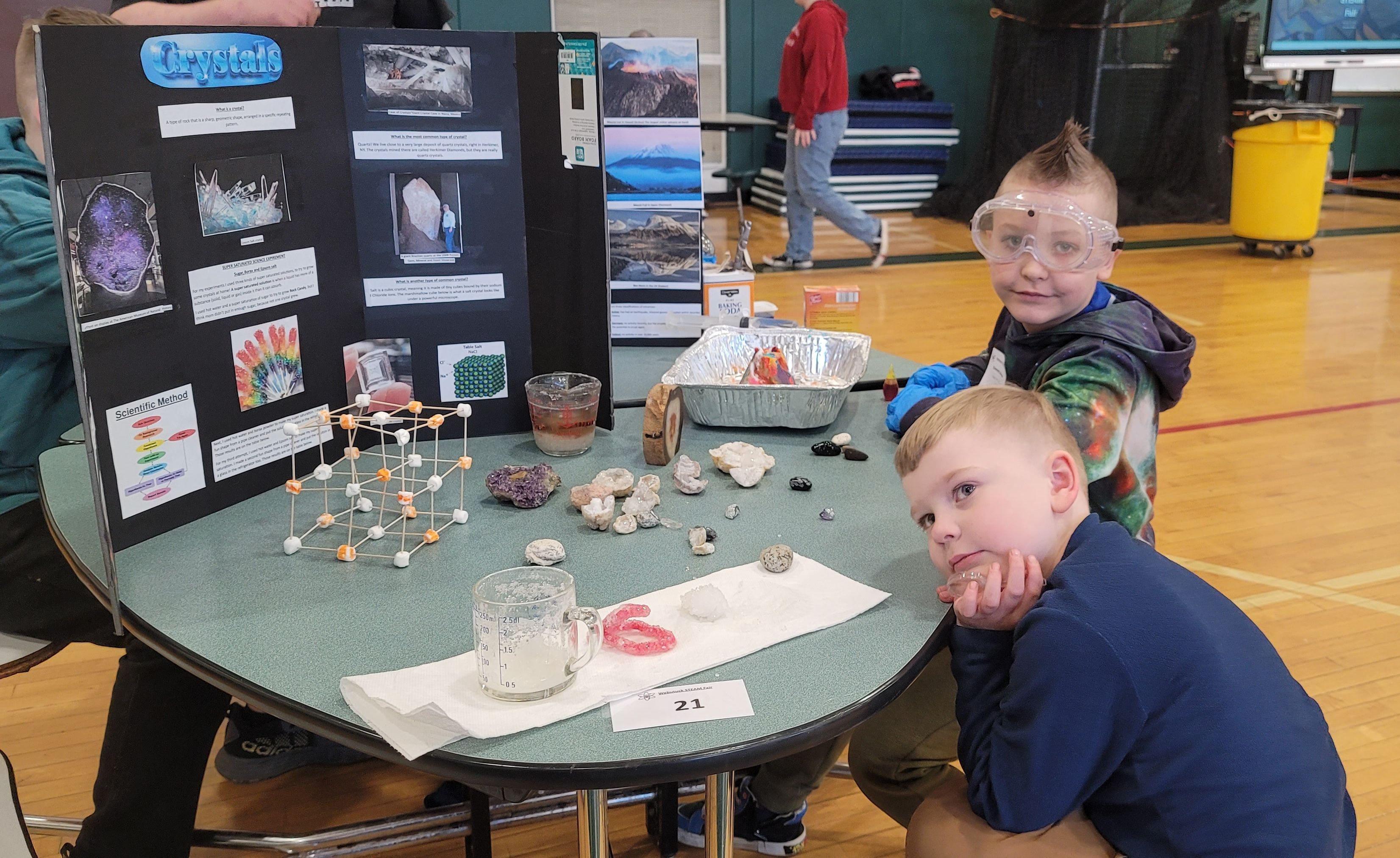 Gathering STEAM: Webutuck’s 10th annual science fair a success