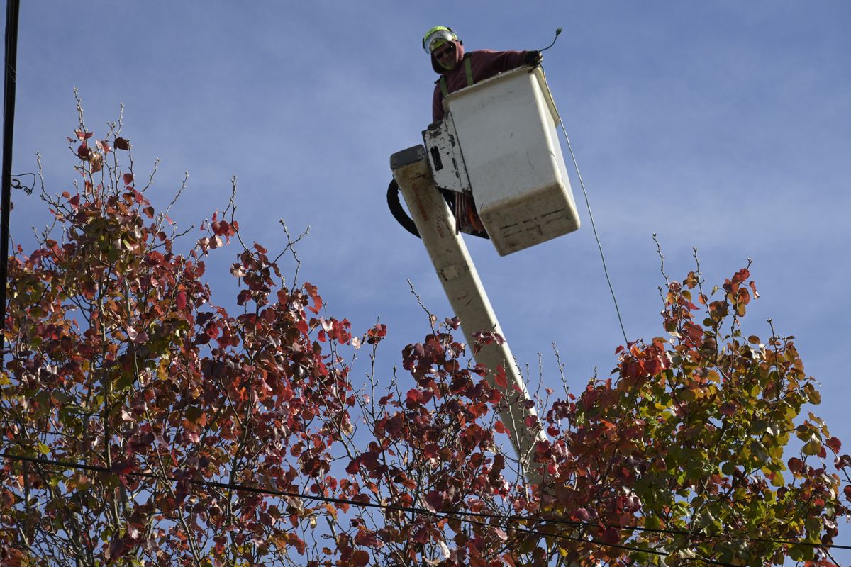 Kris Kudritz of Stafford Tree LLC in Ashley Falls, Mass., hovers with an electric plug in one hand as he strings lights in a tree near the Irondale Schoolhouse in Millerton on Wednesday, Nov. 8, in preparation for the Festival of Lights.