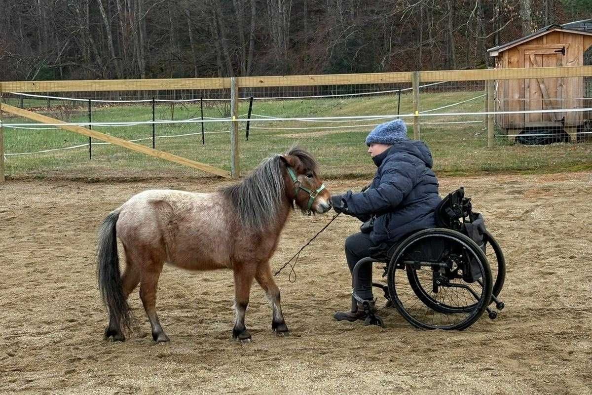 Mini horses, big impact: animal learning center opens in Sheffield