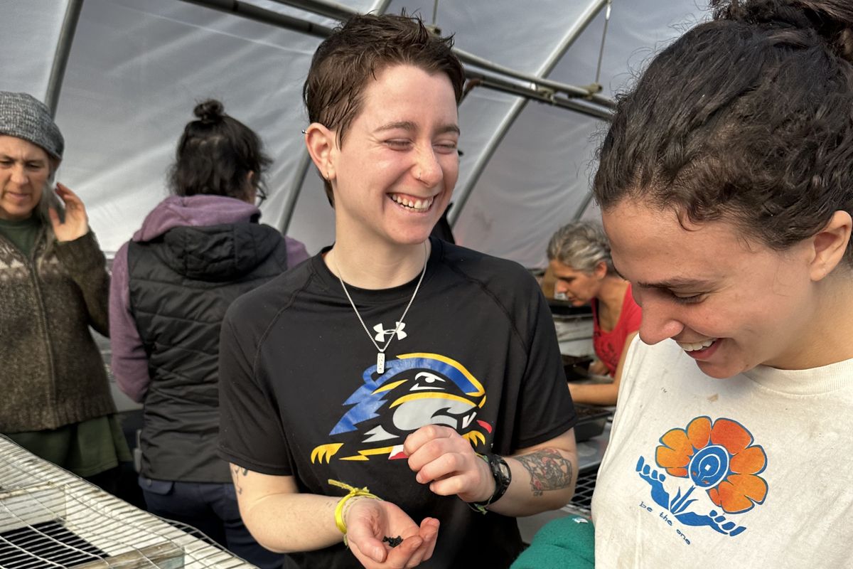 Letter from the farm:
Is it harvest time yet?