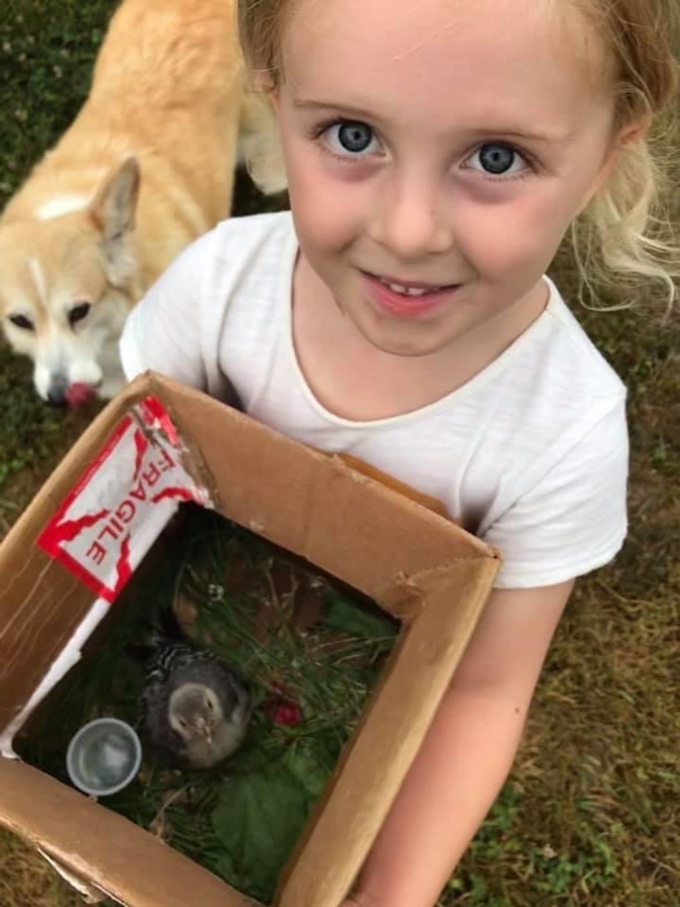 Kind-hearted Perusse family tends to fallen injured birds