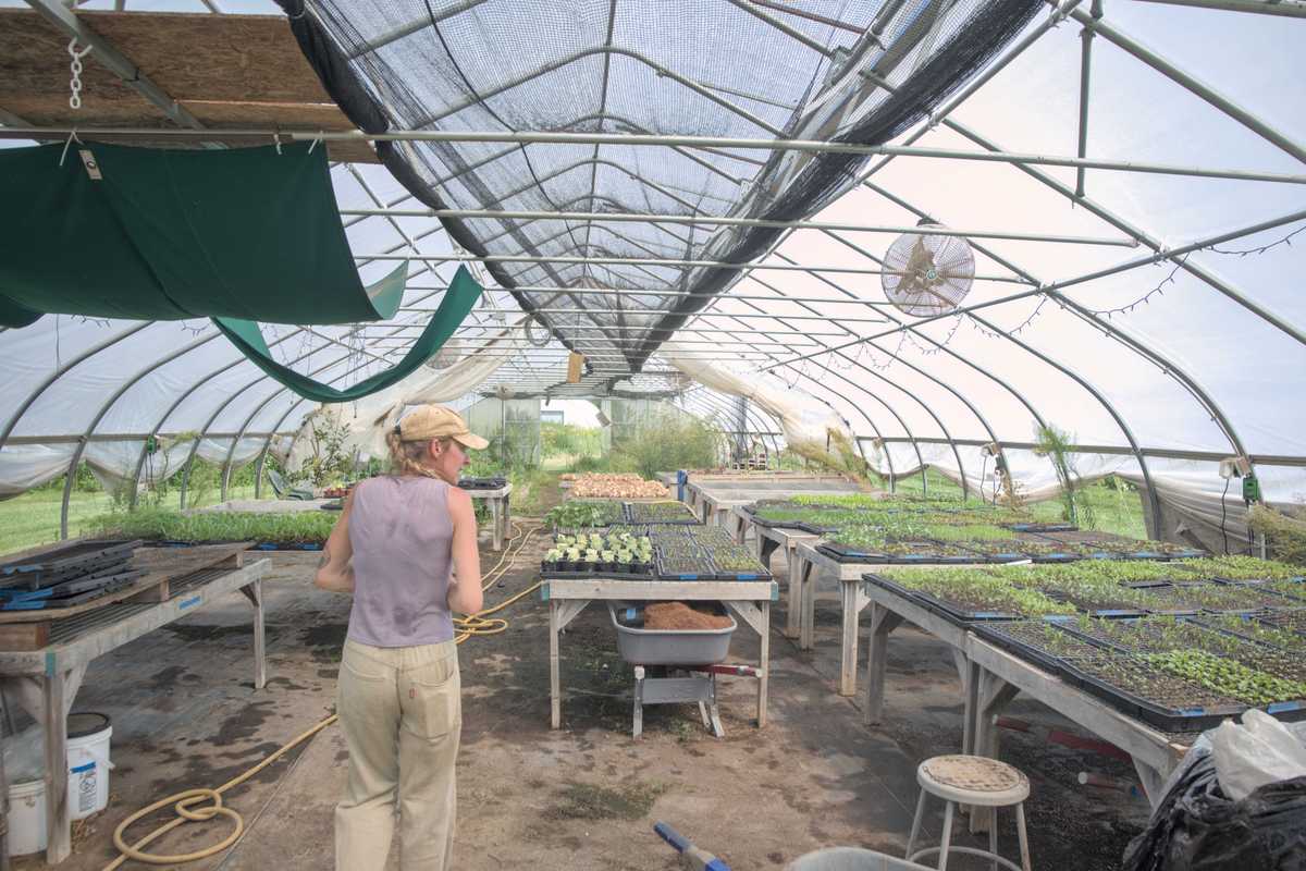 Fresh-cut flowers take over Wassaic roadside stand