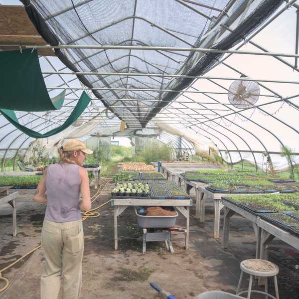 Fresh-cut flowers take over Wassaic roadside stand