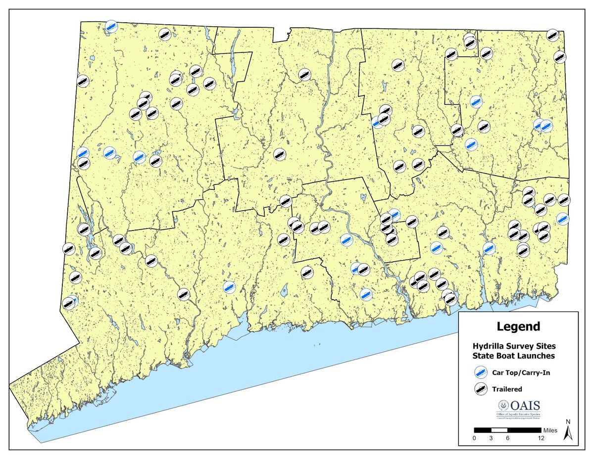 Hydrilla’s ‘alarmingly rapid’ spread prompts state survey of boat launches