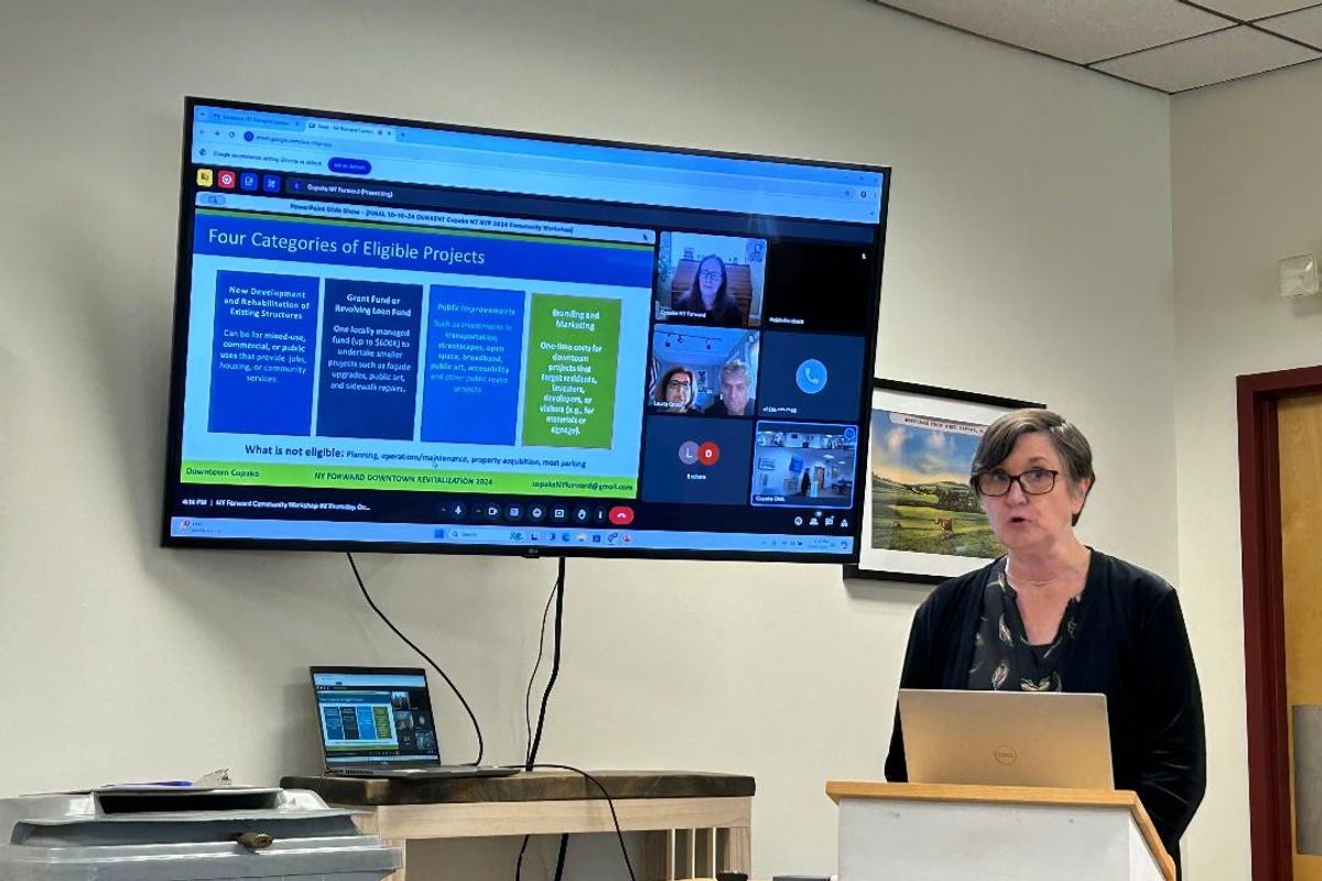 Copake makes third attempt at NY Forward funding