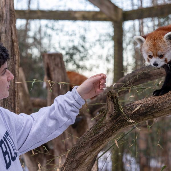 Trevor-Lovejoy Zoo receives $5M for new animal hospital