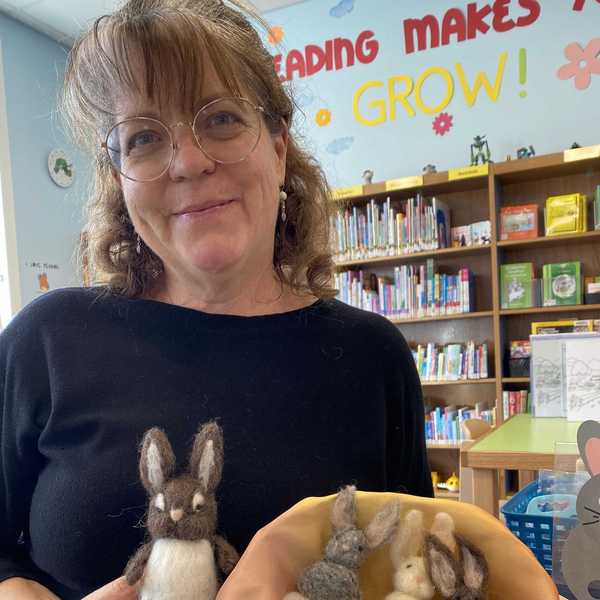 Amenia Free Library hires youth programming assistant