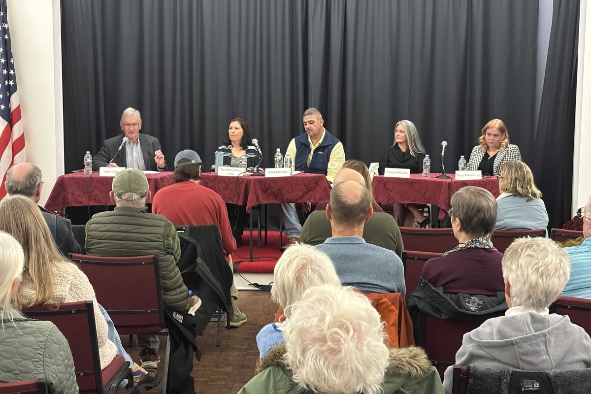 Local, county candidates gather for NorthEast-Millerton Library forum