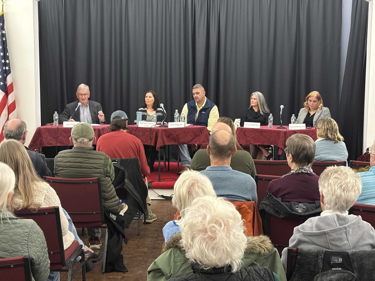 Local, county candidates gather for NorthEast-Millerton Library forum