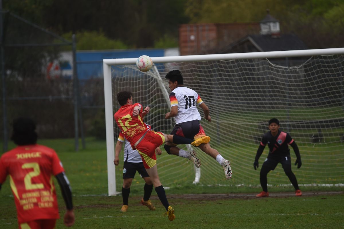 Sunday soccer scores at Eddie Collins Park