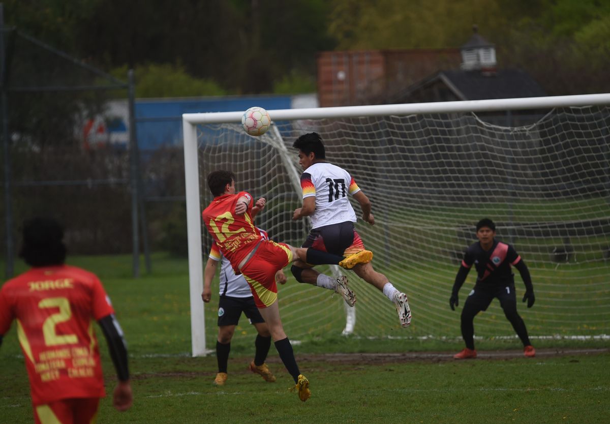Sunday soccer scores at Eddie Collins Park