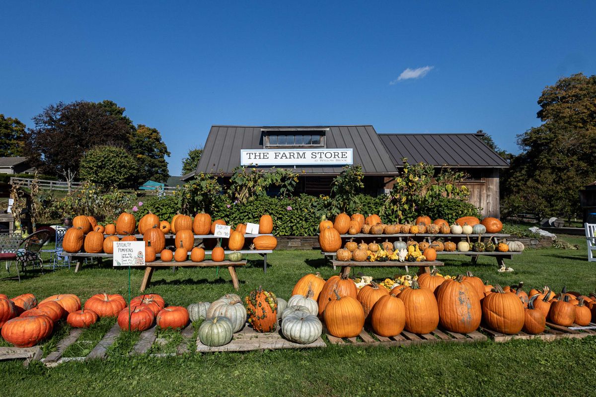 Spooky season and beyond: A roundup of local fall fun