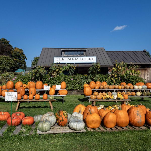 Spooky season and beyond: A roundup of local fall fun