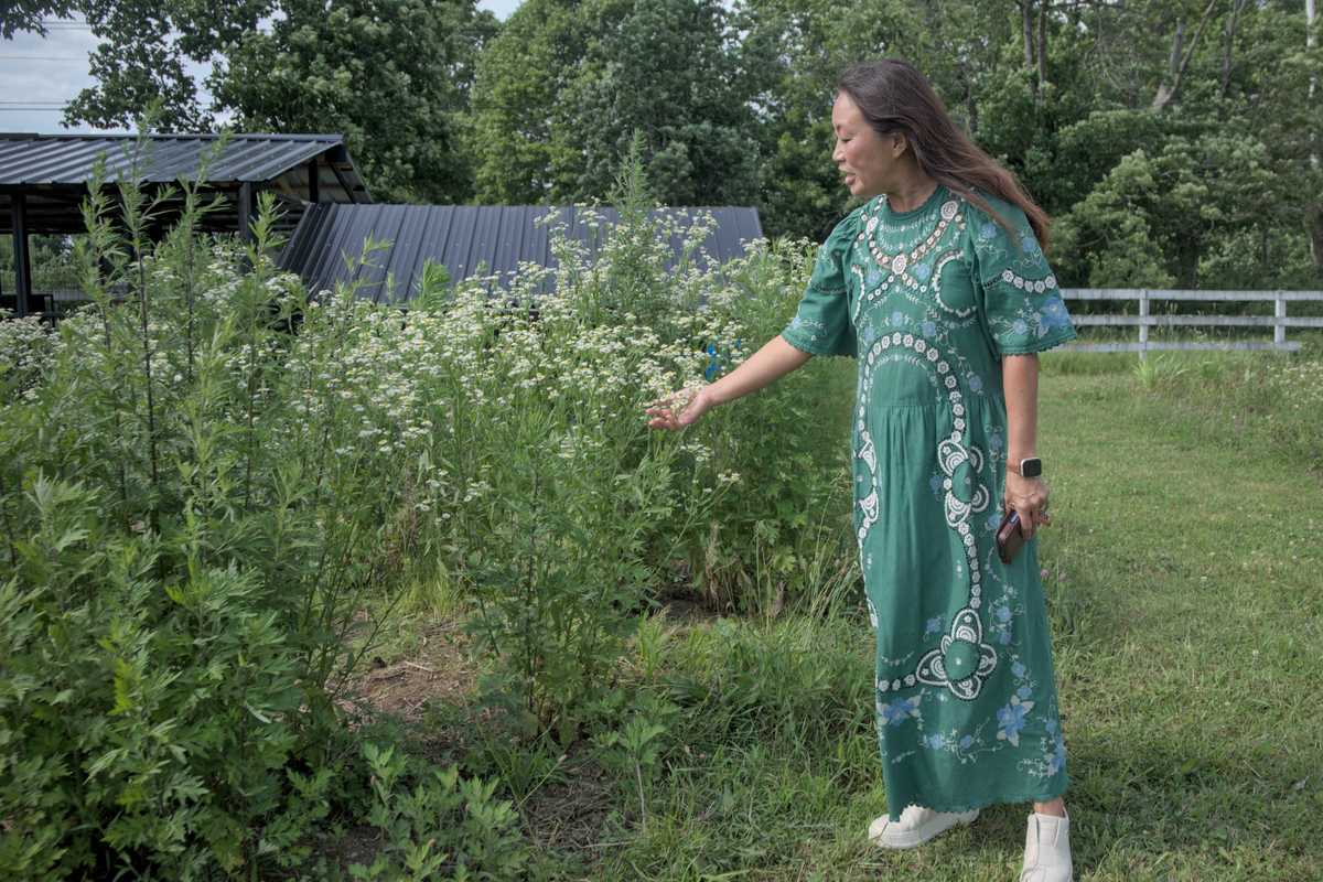 Historic farmhouse enters new chapter as a home for agricultural education
