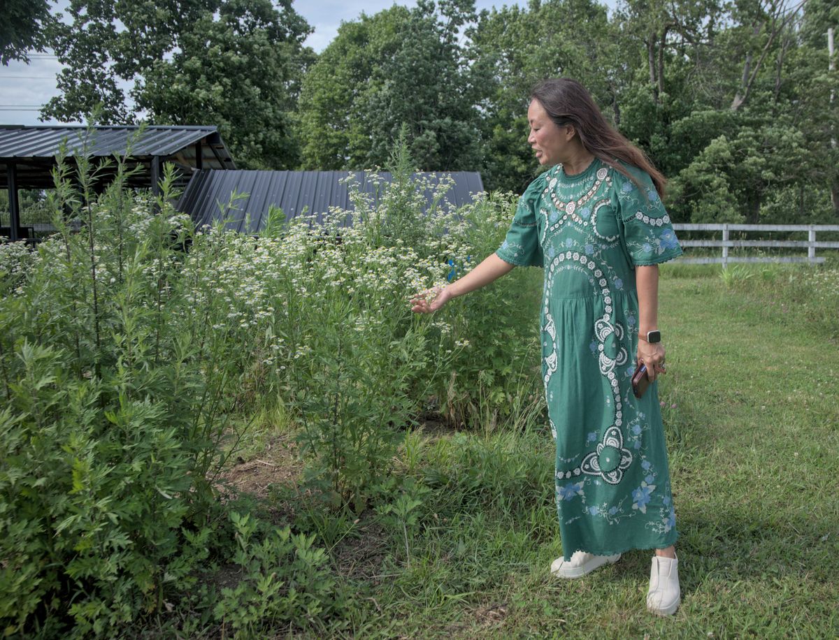 Historic farmhouse enters new chapter as a home for agricultural education