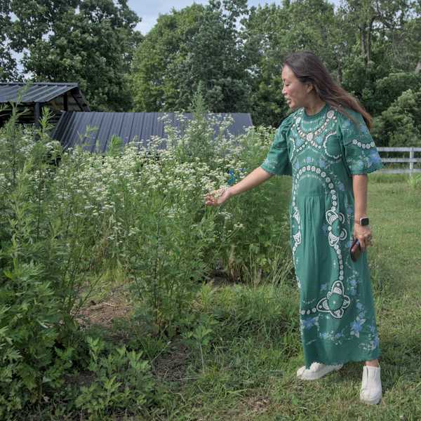 Historic farmhouse enters new chapter as a home for agricultural education