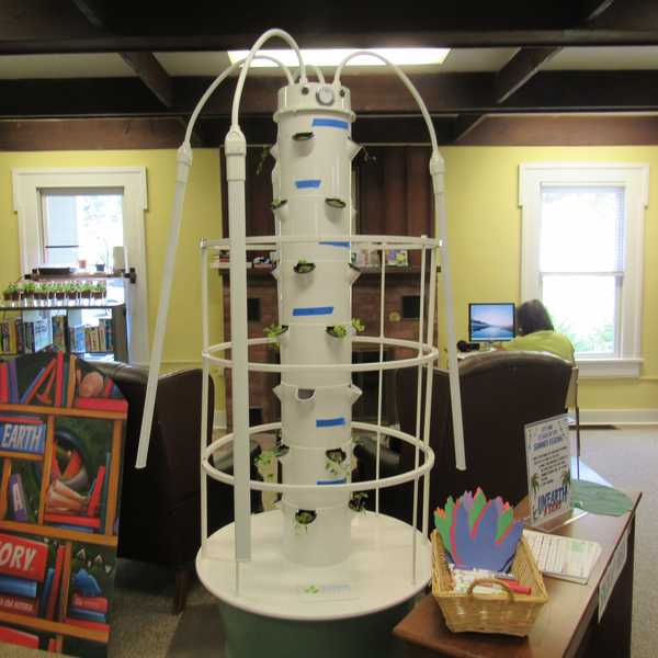 New ‘tower garden’ brings year-round greens to NorthEast-Millerton Library