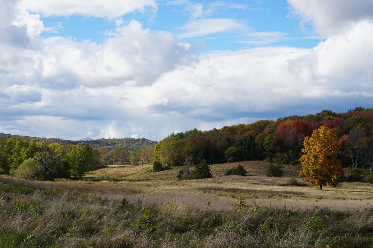 Durst Lists 1,946 Acres for Sale in Pine Plains and Milan