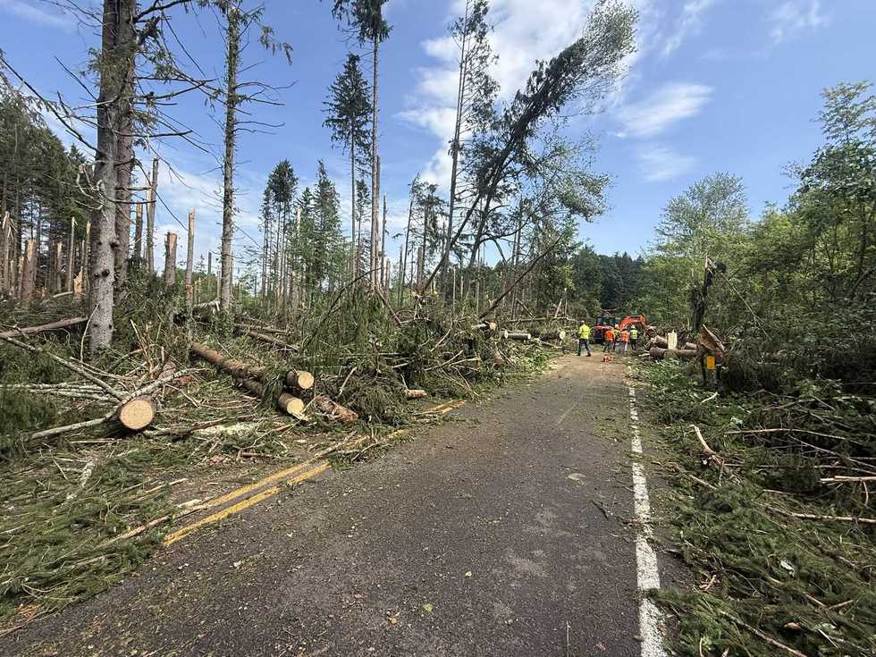 Fallen trees cause ongoing power outages in southern Dutchess County