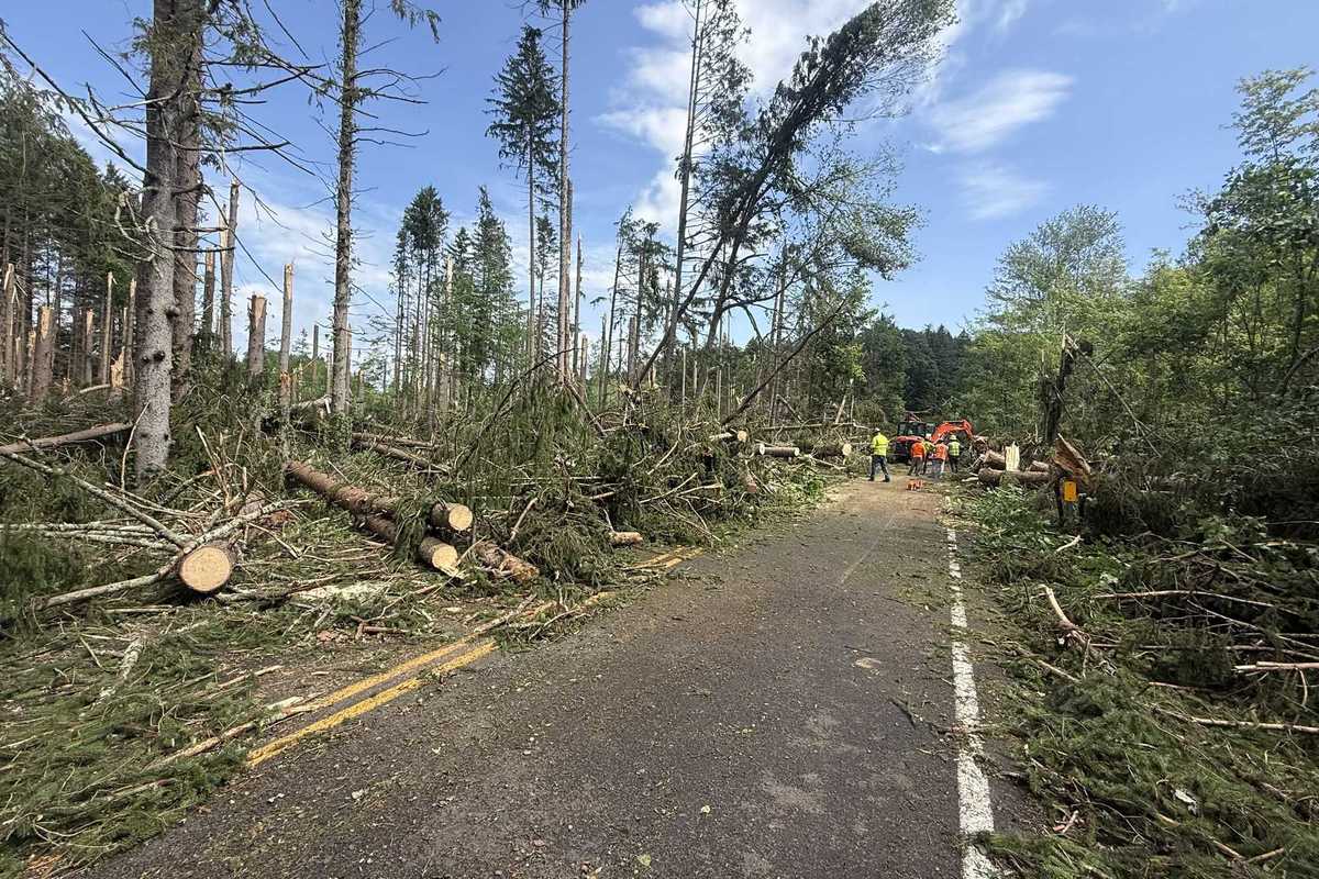 Fallen trees cause ongoing power outages in southern Dutchess County