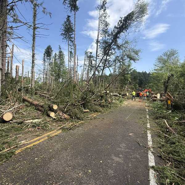 Fallen trees cause ongoing power outages in southern Dutchess County