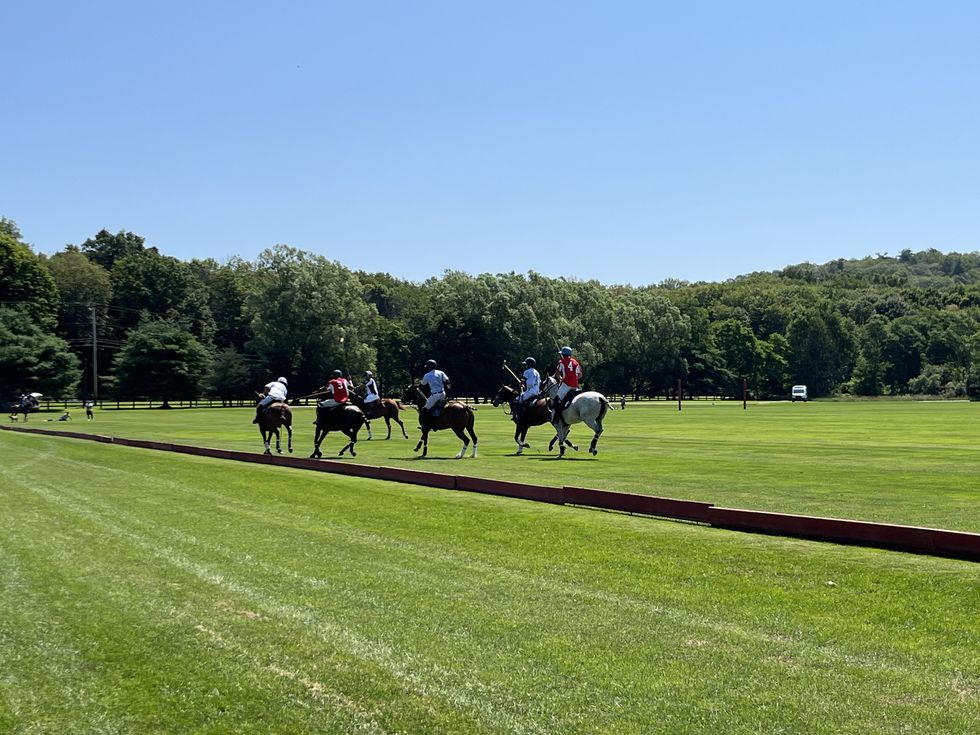 Mashomack Polo integral to Hudson Valley equestrian scene