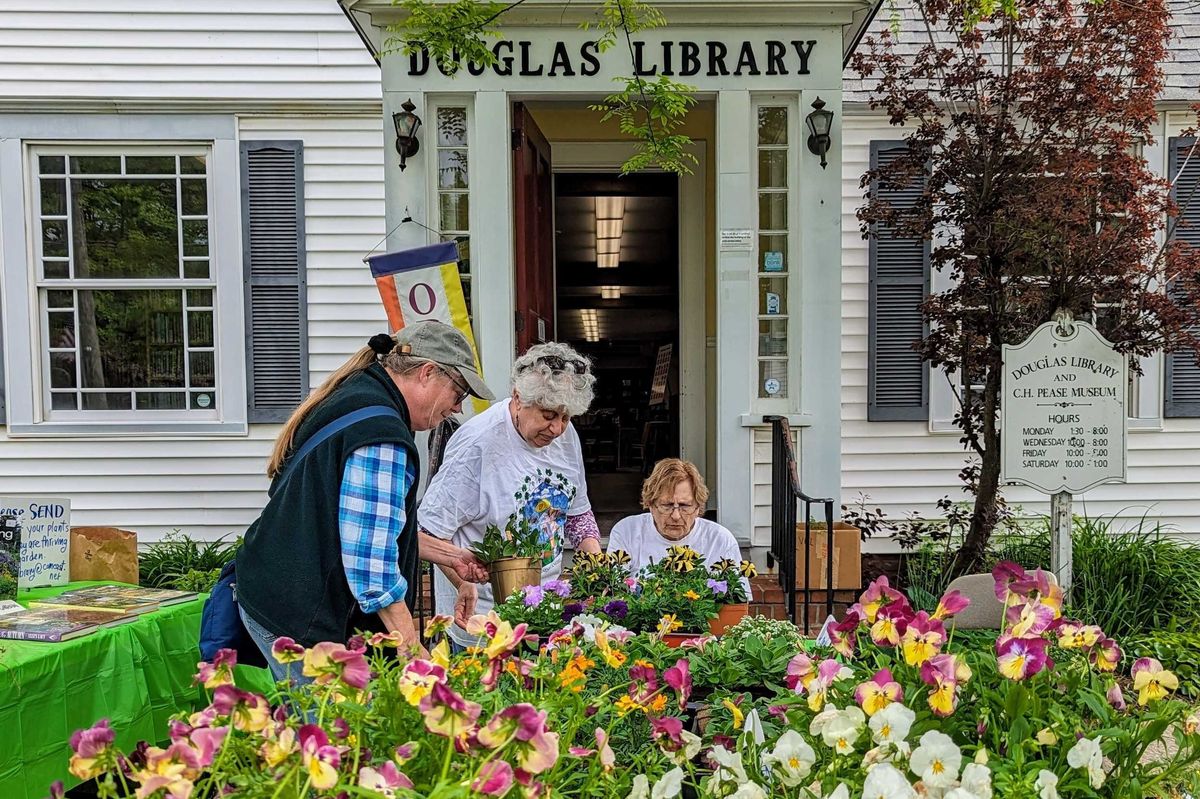 North Canaan in bloom for Spring Fest