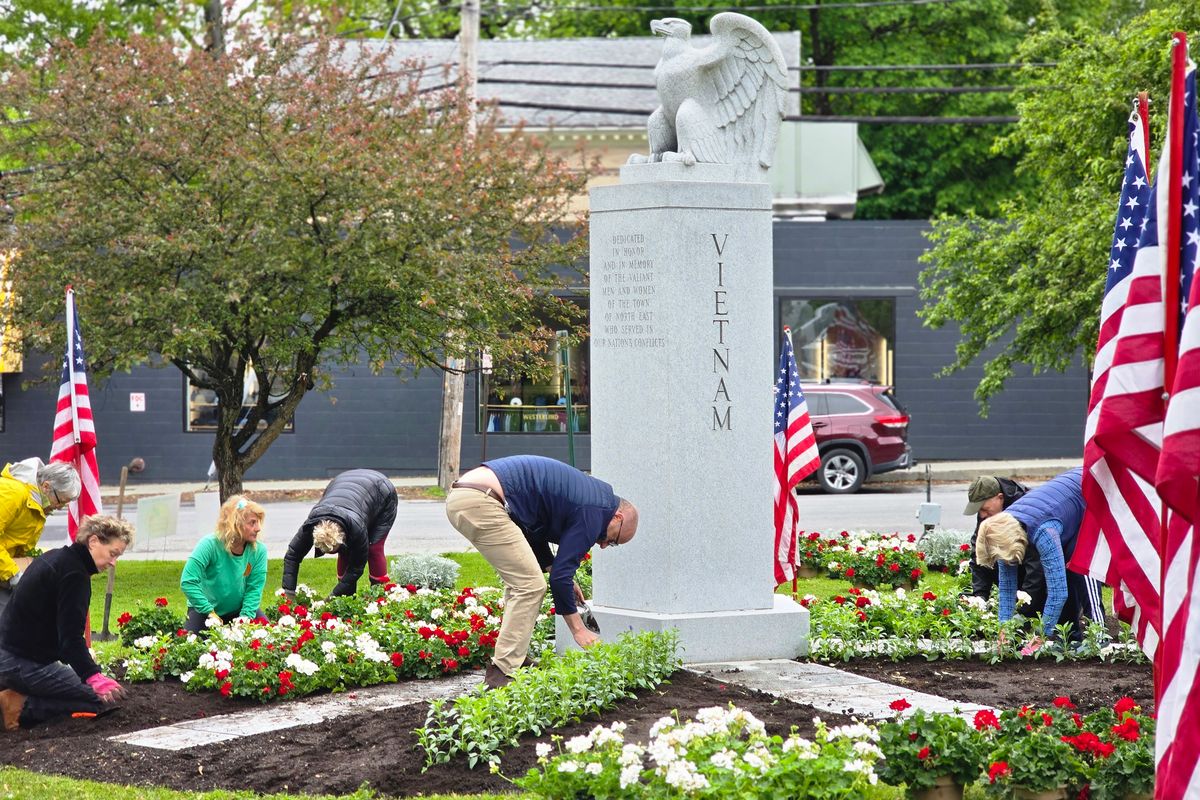 Townscape’s flower power