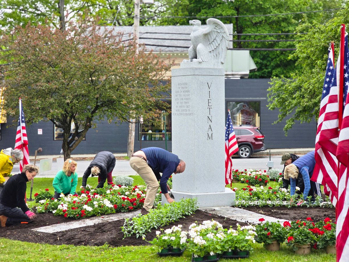 Townscape’s flower power